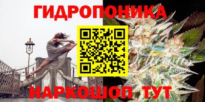 стафф Пенза