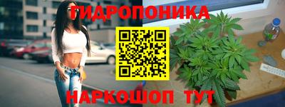 a pvp Партизанск