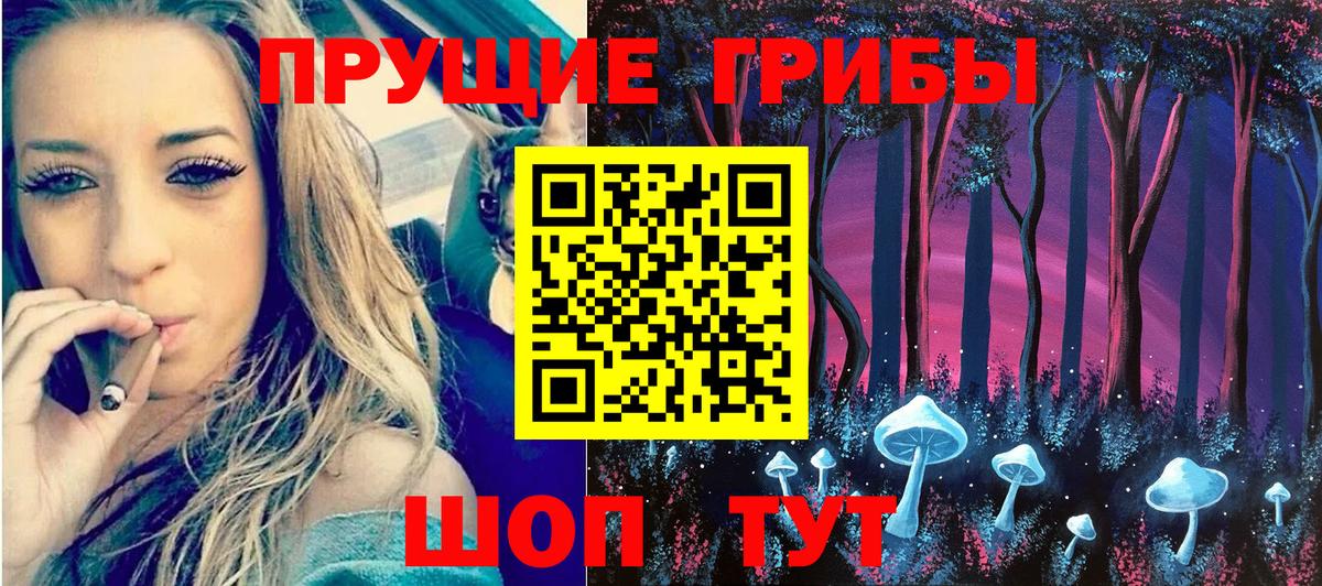 Петропавловск-Камчатский  Галлюциногенные грибы Psilocybine cubensis  Псилоцибиновые грибы Cubensis  Вход с VPN 
