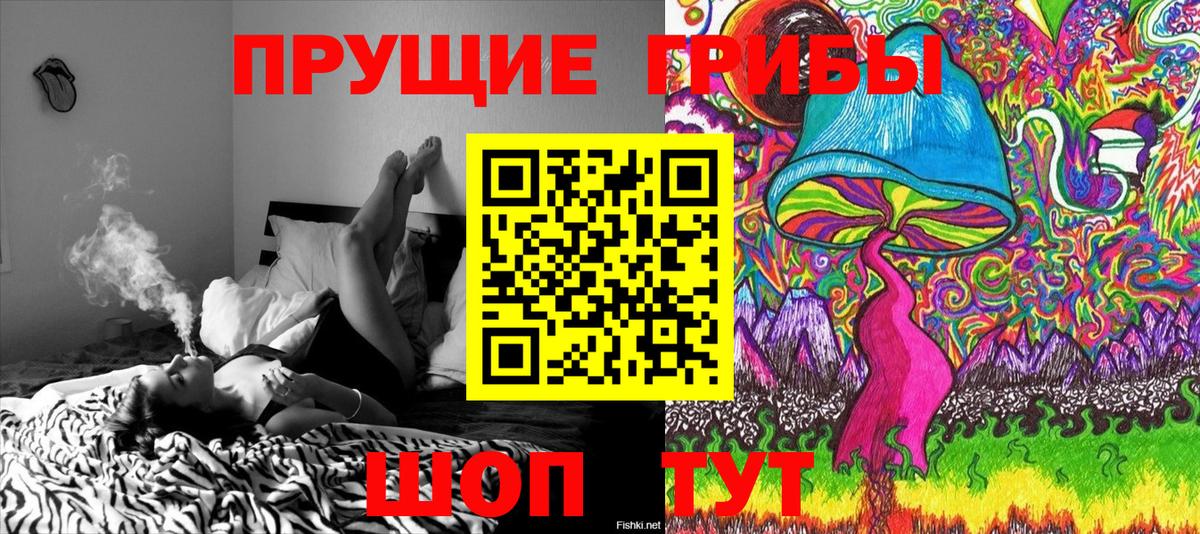 Псилоцибиновые грибы мухоморы Петропавловск-Камчатский