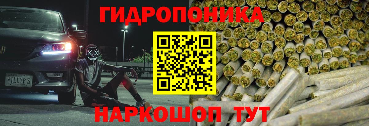 Бошки Шишки семена Петропавловск-Камчатский