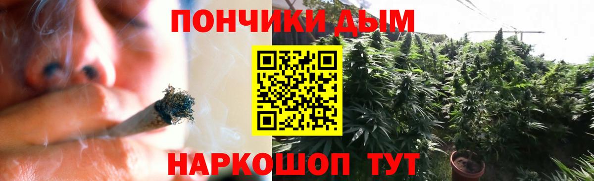 Конопля планчик  Марихуана Bruce Banner  Вход с VPN  Шишки марихуана тримм  Петропавловск-Камчатский 